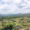 情歌的头像