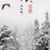 天天的头像
