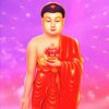 净土归莲阿弥陀佛的头像