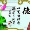 占先的头像