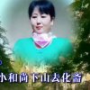 66dashun的头像