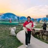 东方蛟龙家族新子（首席）的头像