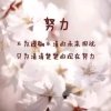 如此的心的头像