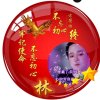 北方浪子的头像