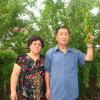 桂兰的头像