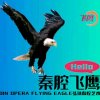 喜乐汇副站长飞鹰的头像