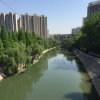 兔的头像