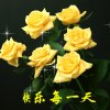岁月如梦的头像