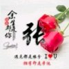 愤怒的小鸟的头像