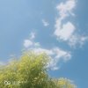 无聊的头像
