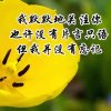 修身养性的头像