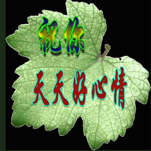 演唱歌手梦月开心时刻的头像