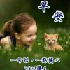菊花的头像