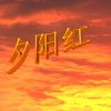 夕阳红的头像