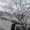 随风潜入夜的头像