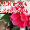 优雅的头像