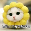 枝的头像