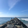 蔚蓝海岸（暂退）的头像