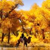 君行天下的头像
