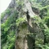 让心归零的头像