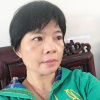 林新蘭的头像