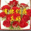 歌的情感/2020的头像