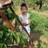 王秀林的头像