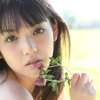 爱你情缘的头像