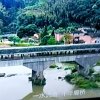真诚的头像