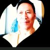 枫林晚情的头像