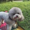唯一的头像