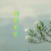 潇洒一笑的头像