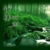 竹林听雨（暂离拒币）的头像