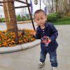 若遇浅香闫湘元的头像