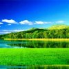 WqL的头像