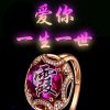 苏霞的头像