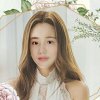 惜缘的头像