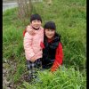 兰花的头像