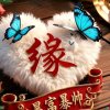 太阳的头像