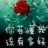 今生有你的头像