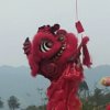 碎梦的头像