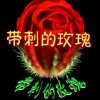 宇宇的头像