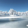 雪的头像