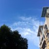 清风的头像