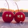 子木常乐的头像
