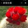 女人花^0^忙^0^互动的头像