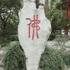 过往云烟的头像