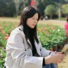 珊的头像