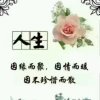 蓝色蝴蝶结的头像
