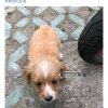 陈连鹏的头像